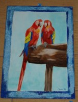 /album/galleria-fotografica/immagine-012-jpg/